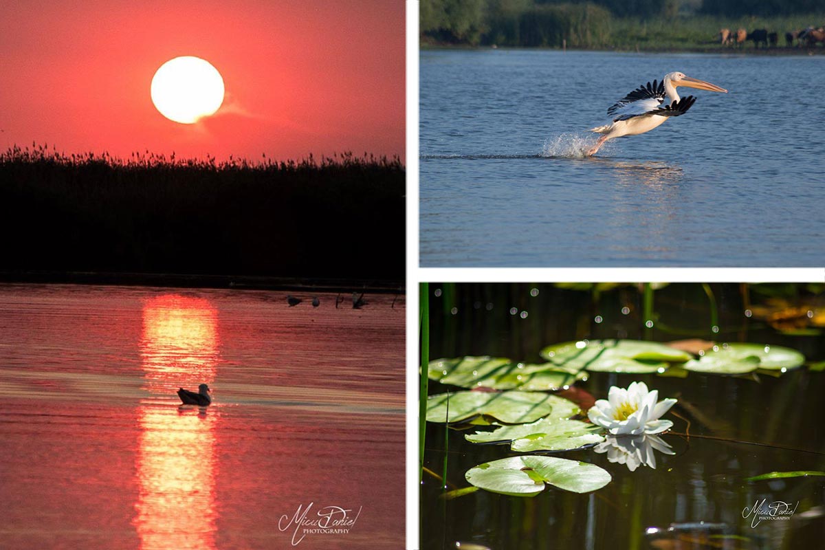 Delta Dunării – Rezervație naturală și Rezervație a biosferei